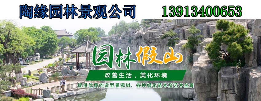 tai111111111111111.jpg